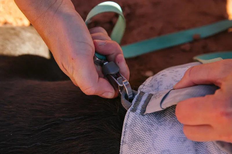 Ruffwear Swamp Cooler Harness - Sage Green-5